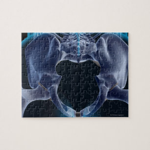 Puzzle Os du bassin