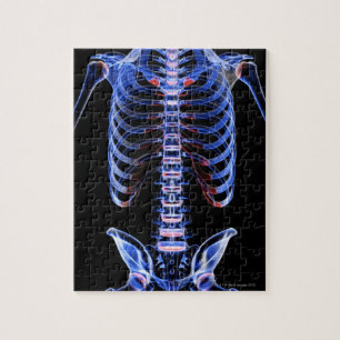 Puzzle Os du coffre 2