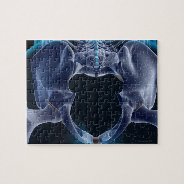 Puzzle Os du Pelvis (Horizontal)