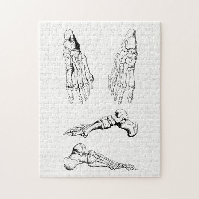 Puzzle Os vintages d'art d'anatomie du pied (Vertical)