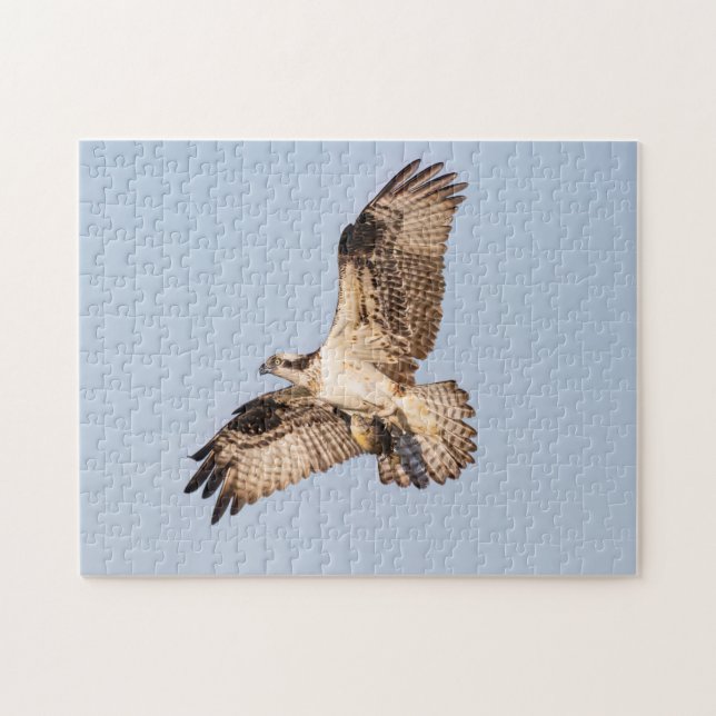 Puzzle Osprey with a fish (Horizontal)