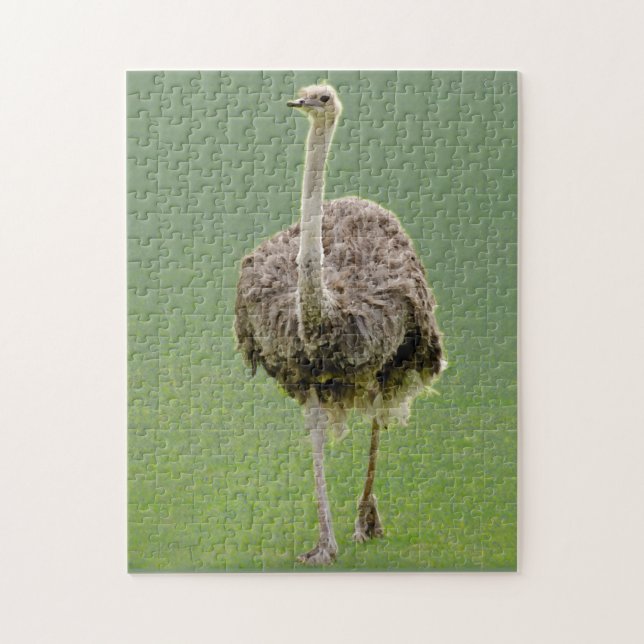 Puzzle Ostrich (Vertical)