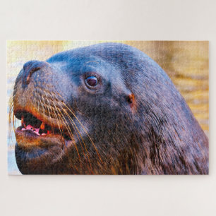Puzzle Otaries