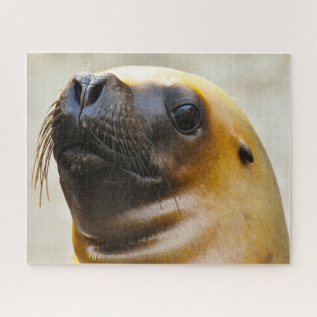 Puzzle Otaries (Horizontal)