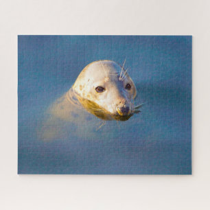 Puzzle Otaries
