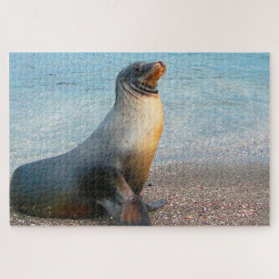 Puzzle Otaries