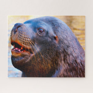 Puzzle Otaries