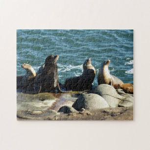 Puzzle Otaries de San Diego