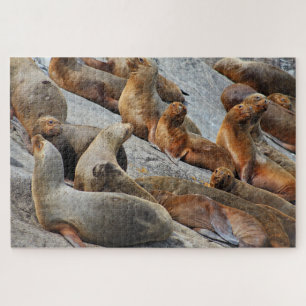 Puzzle Otaries en Patagonie, Chili