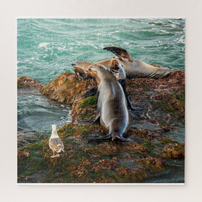Puzzle Otaries sur une côte rocheuse – Art de la faune cô (Vertical)