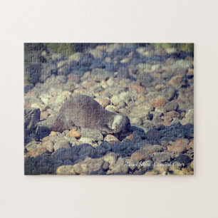 Puzzle Otter Short Clawed au zoo de Drusillas dans l'est 