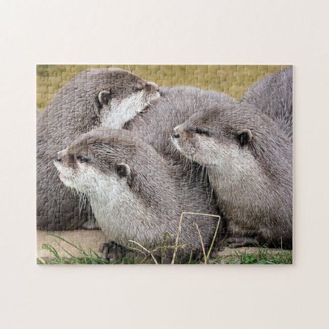 PUZZLE OTTERS COUPÉS (Horizontal)