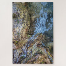Où les arbres tiennent la rivière