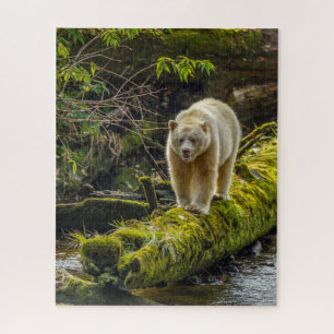 Puzzle Ours blanc Colombie-Britannique, Canada