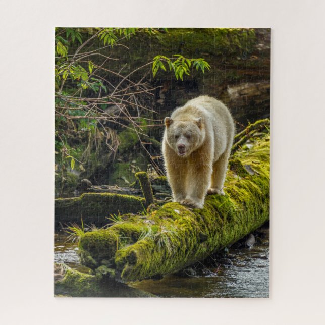 Puzzle Ours blanc | Colombie-Britannique, Canada (Vertical)