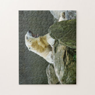 Puzzle Ours blanc fâché