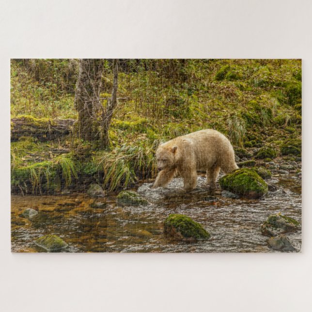 Puzzle Ours blanc fantôme chasse le poisson dans le ruiss (Horizontal)
