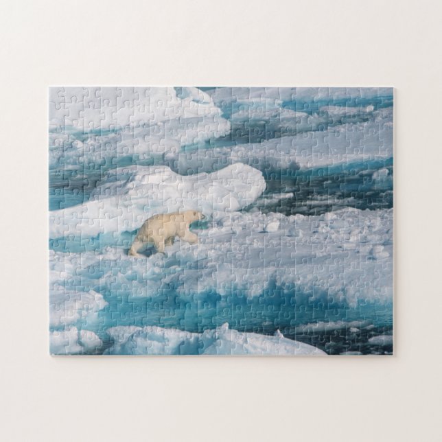 Puzzle Ours blanc marchant sur la mer (Horizontal)