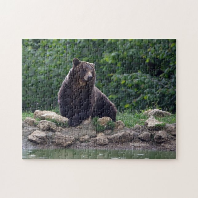 Puzzle Ours Brown (Horizontal)