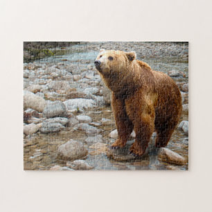 Puzzle Ours Brown dans le ruisseau