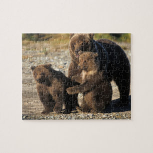 Puzzle ours Brown, grizzli, semer avec des oursons sur la