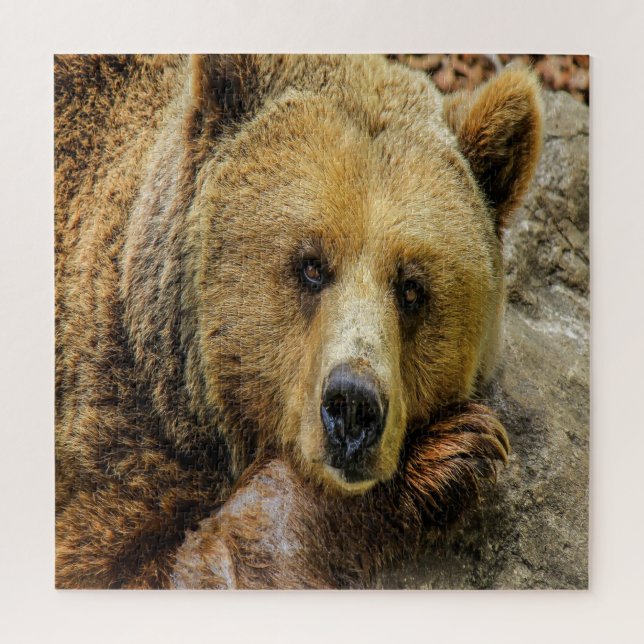 Puzzle Ours Brown sauvage (Vertical)