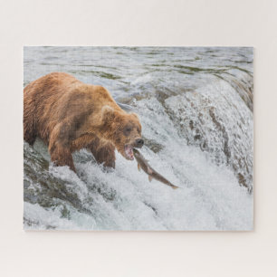 Puzzle Ours brun attrape un saumon rouge