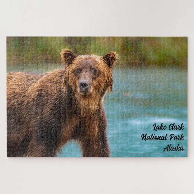 Puzzle Ours brun du parc national de Lake Clark (Horizontal)