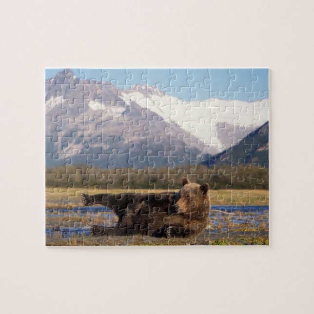 Puzzle Ours brun, grizzly ours s'étirant sur le dos (Horizontal)
