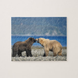 Puzzle Ours brun, ours grizzly, jouer sur la plage,