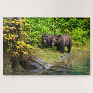 Puzzle Ours brun & ourson Hyder, Alaska