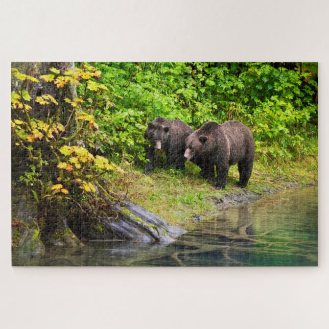 Puzzle Ours brun & ourson | Hyder, Alaska (Horizontal)