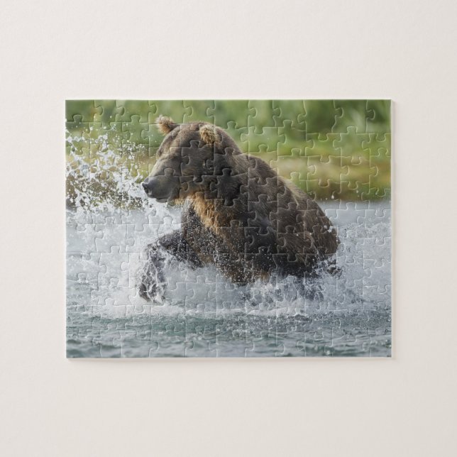 Puzzle Ours brun poursuivant le saumon dans la rivière (Horizontal)