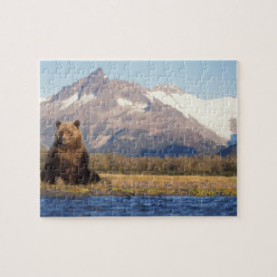 Puzzle ours brun, Ursus arctos, grizzli, Ursus