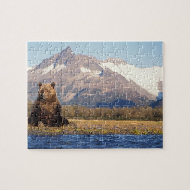 Puzzle ours brun, Ursus arctos, grizzly, Ursus (Horizontal)