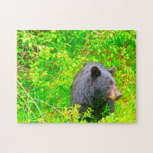 Puzzle Ours bruns canadiens.