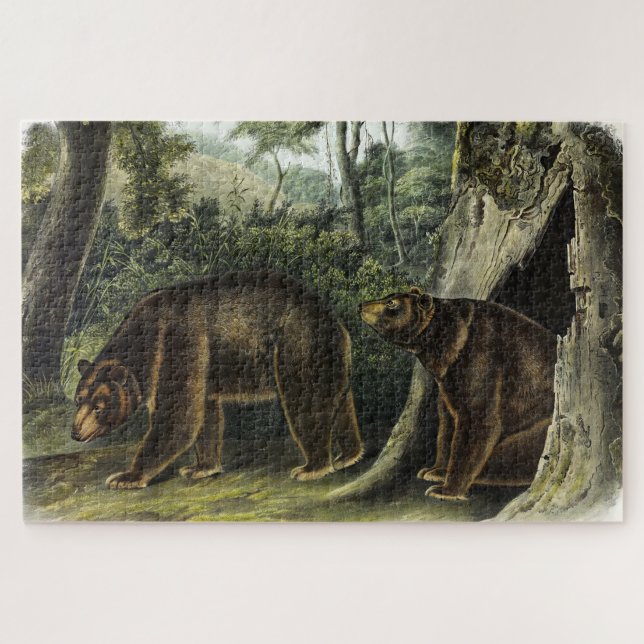 Puzzle Ours de cannelle des Quadrupeds d'Audubon (Horizontal)