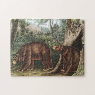 Puzzle Ours de cannelle (Ursus Americanus var. Cinnamonum