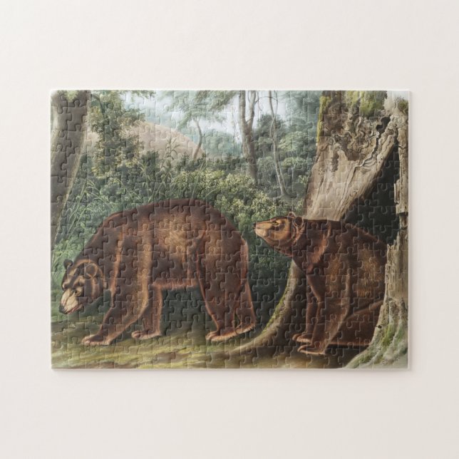 Puzzle Ours de cannelle (Ursus Americanus var. Cinnamonum (Horizontal)