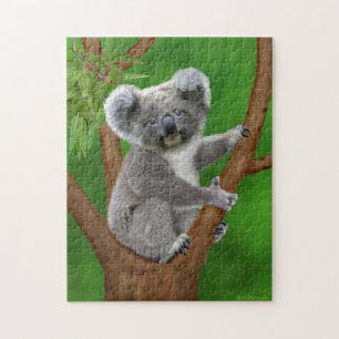Puzzle Ours de koala aux yeux bleus de bébé