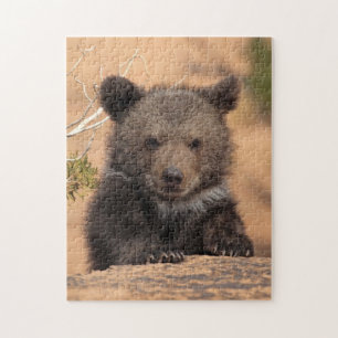 Puzzle Ours gris CUB