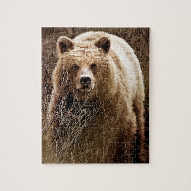 Puzzle Ours grizzli Brown sauvage - Wilderness (Vertical)