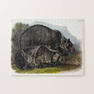 Puzzle Ours grizzli (Ours Brown nord-américain) - Audubon