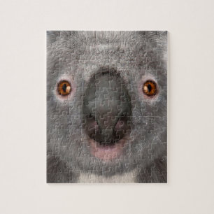 Puzzle Ours koala