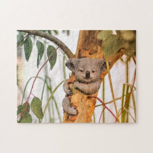 Puzzle ours koala mignon
