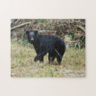 Puzzle Ours noir de Floride