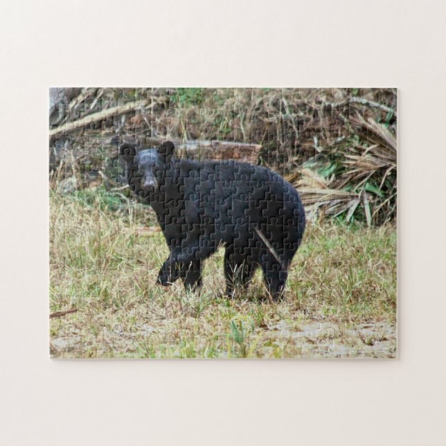 Puzzle Ours noir de Floride (Horizontal)