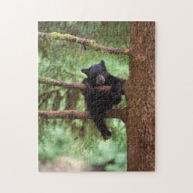 Puzzle ours noir, Ursus americanus, ourson dans un arbre (Vertical)
