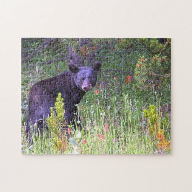 Puzzle Ours noirs Canada. (Horizontal)