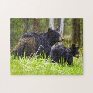 Puzzle Ours noirs Montana.